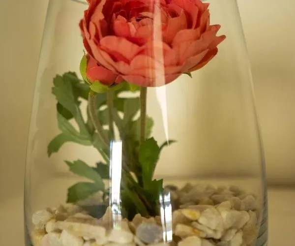 Ilha Douro Duplex פורטו