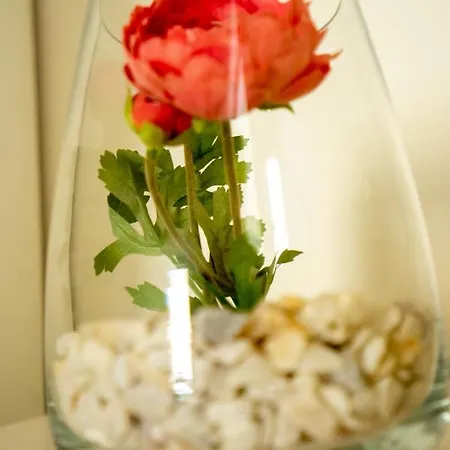 דירה Ilha Douro Duplex