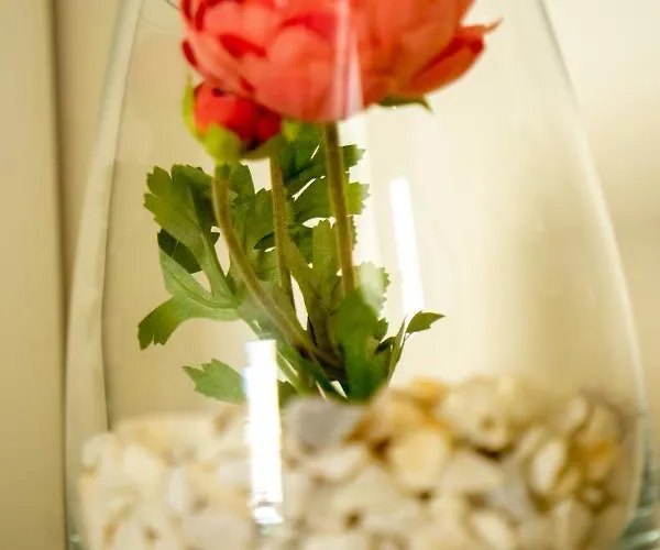 Διαμέρισμα Ilha Douro Duplex