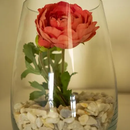 Ilha Douro Duplex Porto