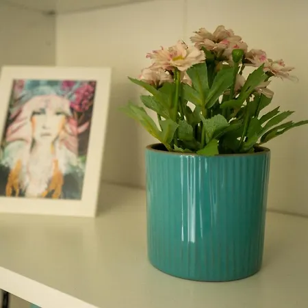 Ilha Douro Duplex Appartement Porto